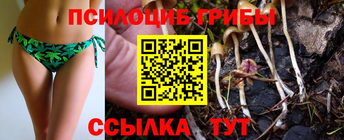 Псилоцибиновые грибы Magic Shrooms  Вход с VPN  Анапа 